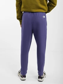 Брюки The North Face Standard модель NF0A4M7LI0D1 Фото