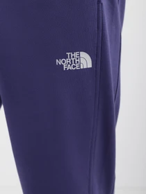 Брюки The North Face Standard модель NF0A4M7LI0D1 Фото