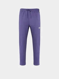 Брюки The North Face Standard модель NF0A4M7LI0D1 Фото