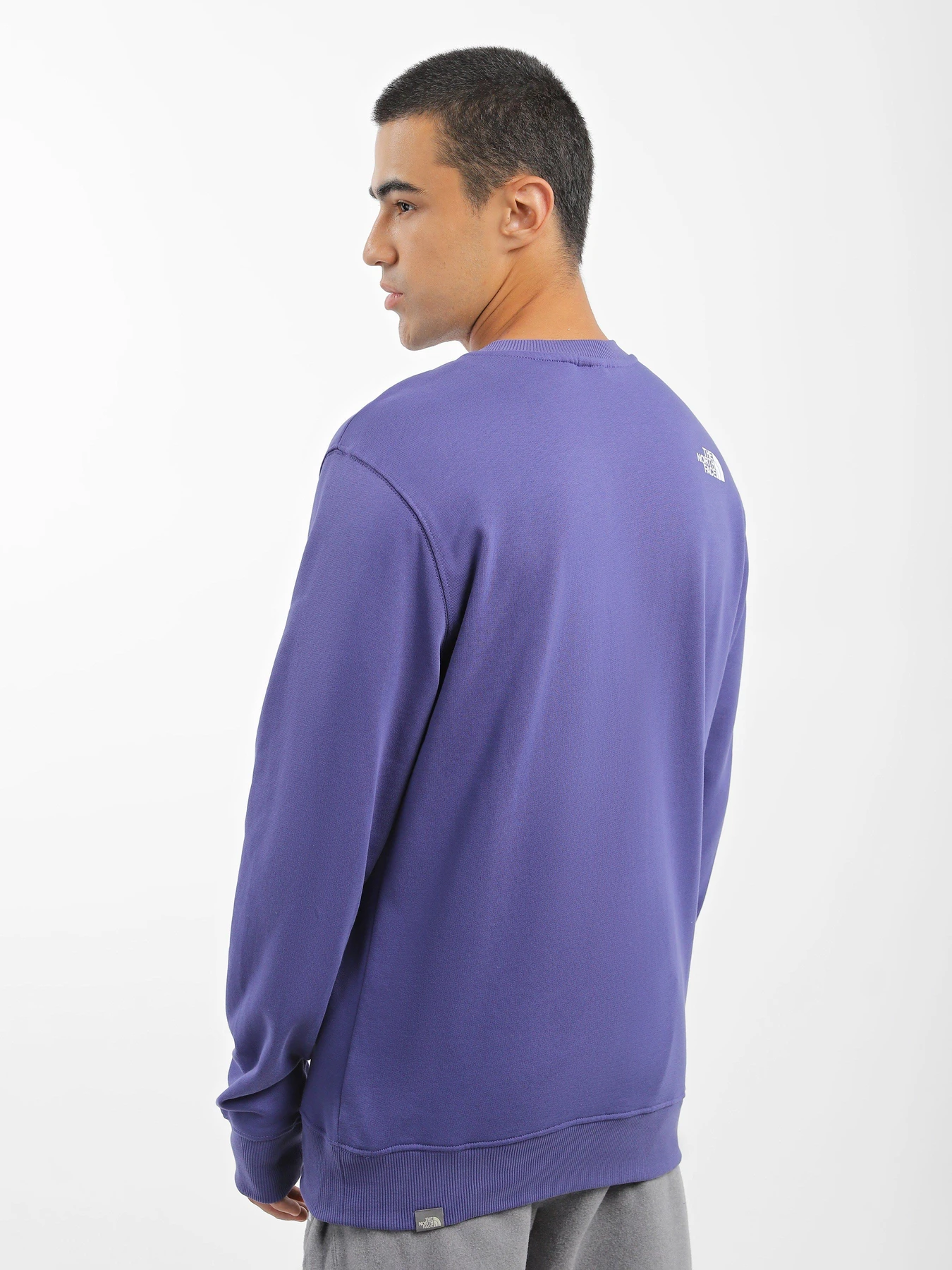 Худі та світшоти The North Face Standard Crew модель NF0A4M7WI0D1 Фото