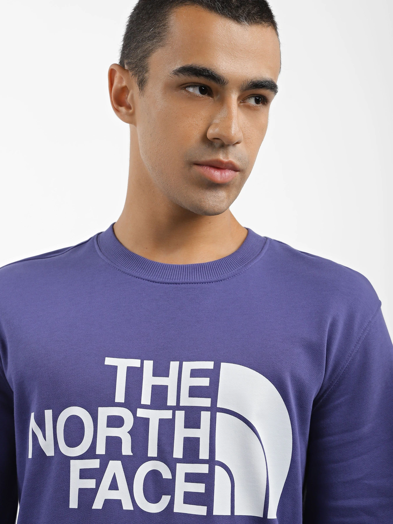 Худі та світшоти The North Face Standard Crew модель NF0A4M7WI0D1 Фото