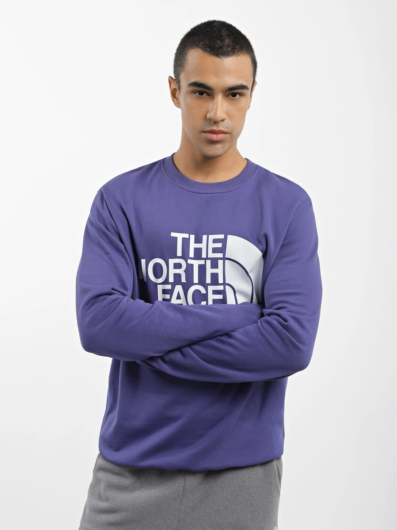 Худі та світшоти The North Face Standard Crew модель NF0A4M7WI0D1 Фото