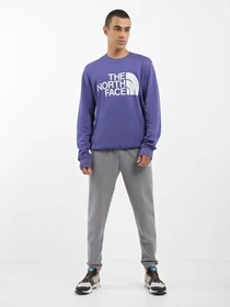 Худі та світшоти The North Face Standard Crew модель NF0A4M7WI0D1 Фото