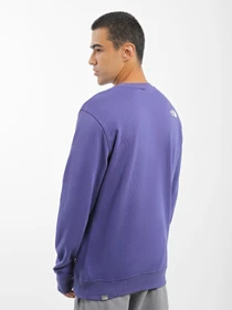 Худі та світшоти The North Face Standard Crew модель NF0A4M7WI0D1 Фото