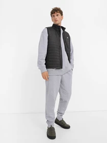 Брюки The North Face Nse Outdoor модель NF0A4SVQDYX1 Фото