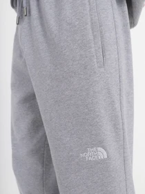 Брюки The North Face Nse Outdoor модель NF0A4SVQDYX1 Фото