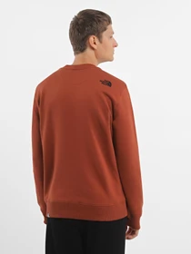 Худи и свитшоты The North Face Drew Peak Crew Neck модель NF0A4SVRUBC1 Фото