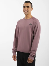 Худи и свитшоты The North Face Red Box модель NF0A4SZ9I0V1 Фото