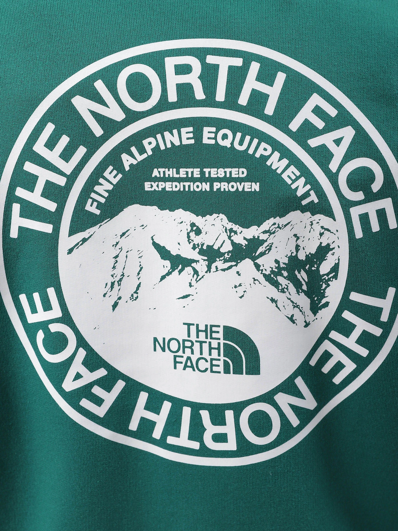 Худи и свитшоты The North Face Biner Graphic модель NF0A7R4PI0X1 Худи и свитшоты The North Face Biner Graphic модель NF0A7R4PI0X1 Фото
