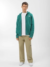 Худи и свитшоты The North Face Biner Graphic модель NF0A7R4PI0X1 Фото