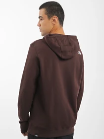 Худі та світшоти The North Face Simple Dome модель NF0A7X1JI0I1 Фото