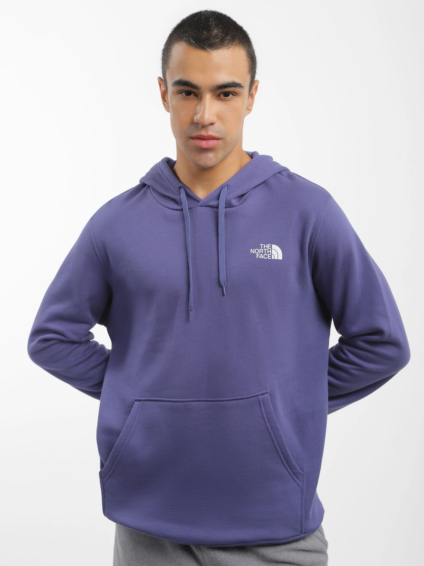 Худи и свитшоты The North Face Simple Dome модель NF0A7X1JI0D1 Фото
