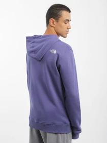 Худи и свитшоты The North Face Simple Dome модель NF0A7X1JI0D1 Фото