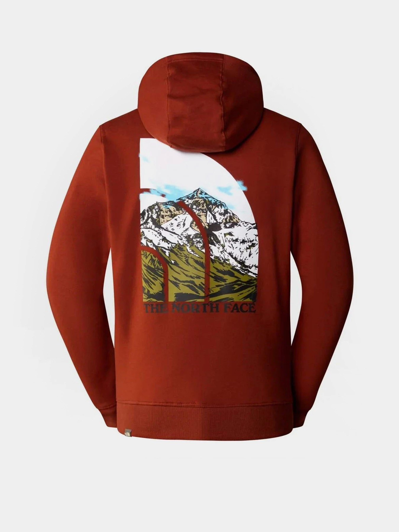 Худі та світшоти The North Face Seasonal Graphic модель NF0A7X1PUBC1 Фото