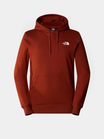 Худі та світшоти The North Face Seasonal Graphic модель NF0A7X1PUBC1 Фото