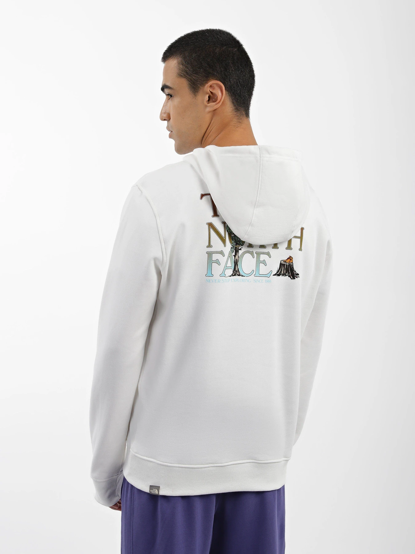 Худи и свитшоты The North Face Simple Dome модель NF0A7X1POFK1 Худи и свитшоты The North Face Simple Dome модель NF0A7X1POFK1 Фото