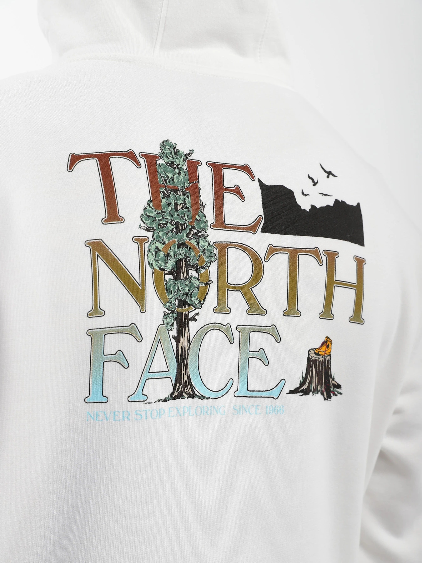 Худи и свитшоты The North Face Simple Dome модель NF0A7X1POFK1 Худи и свитшоты The North Face Simple Dome модель NF0A7X1POFK1 Фото