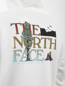 Худи и свитшоты The North Face Simple Dome модель NF0A7X1POFK1 Фото