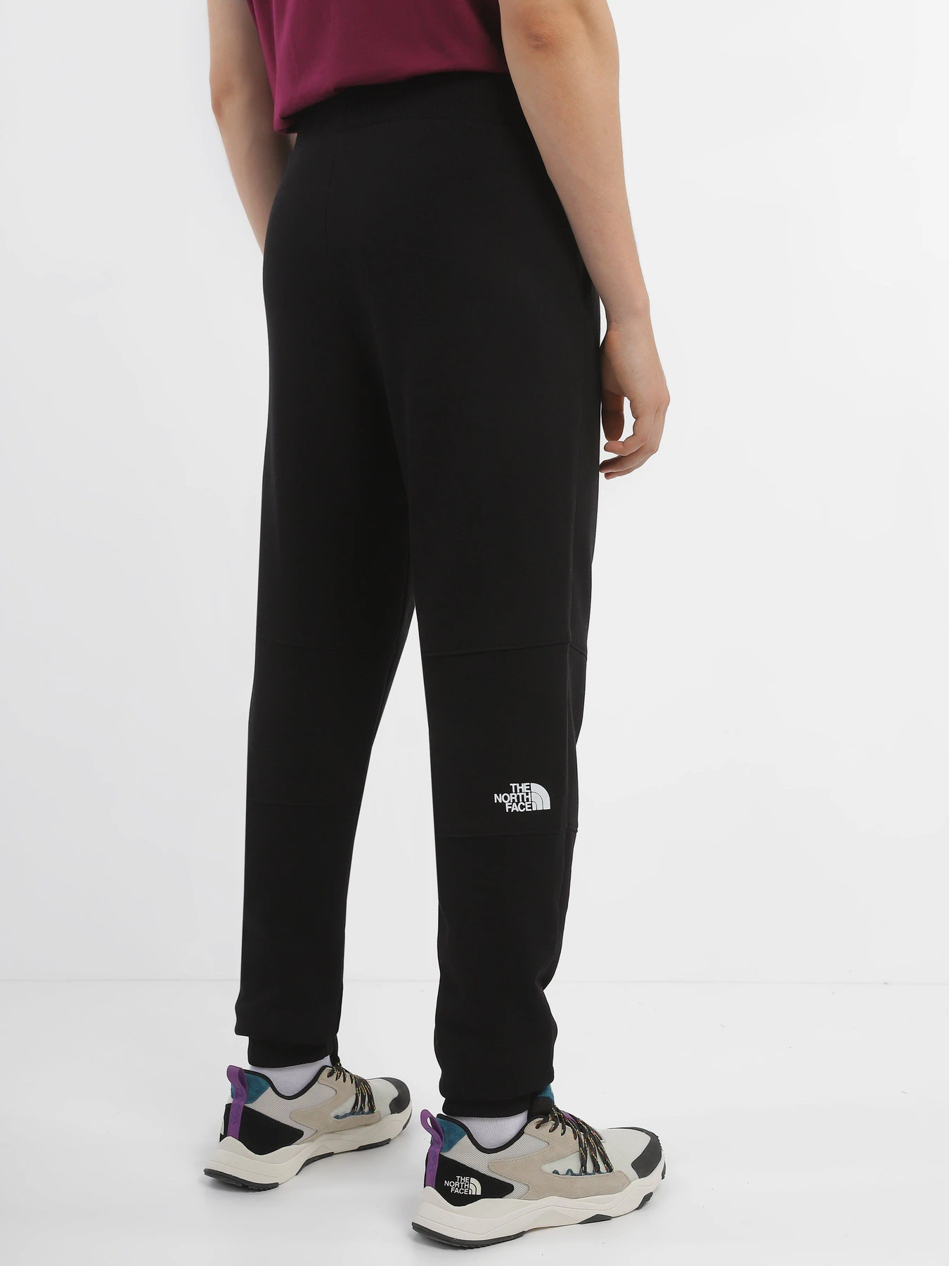 Брюки The North Face Logo Printed модель NF0A827GJK31 Брюки The North Face Logo Printed модель NF0A827GJK31 Фото