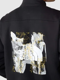 Худи и свитшоты The North Face Heavyweight модель NF0A84GMOGC1 Фото