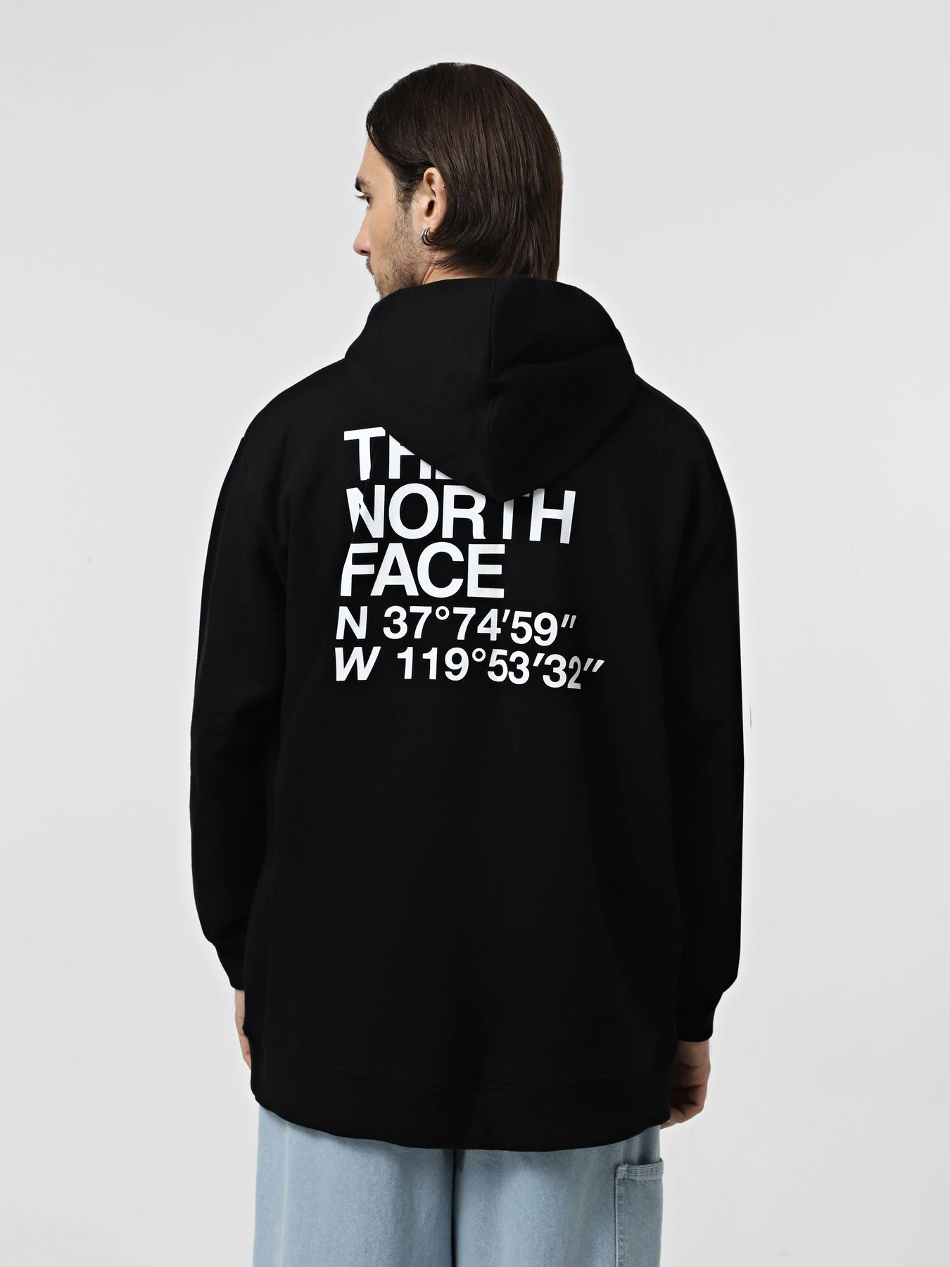 Худі та світшоти The North Face Coordinates  модель NF0A853ZJK31 Фото