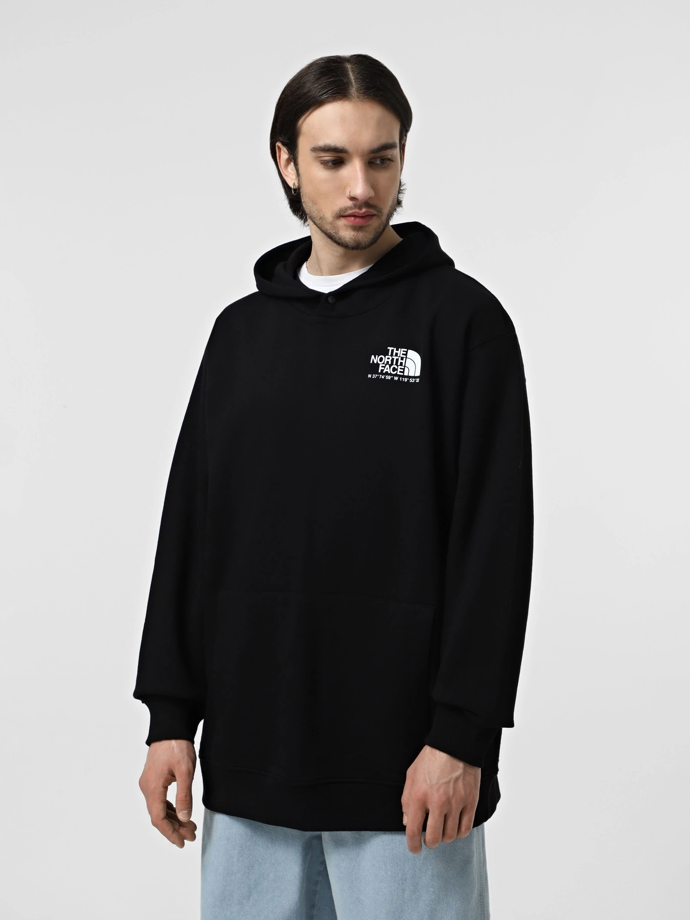 Худі та світшоти The North Face Coordinates  модель NF0A853ZJK31 Фото