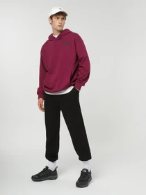 Худи и свитшоты The North Face Coordinates  модель NF0A853ZI0H1 Фото