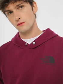 Худи и свитшоты The North Face Coordinates  модель NF0A853ZI0H1 Фото