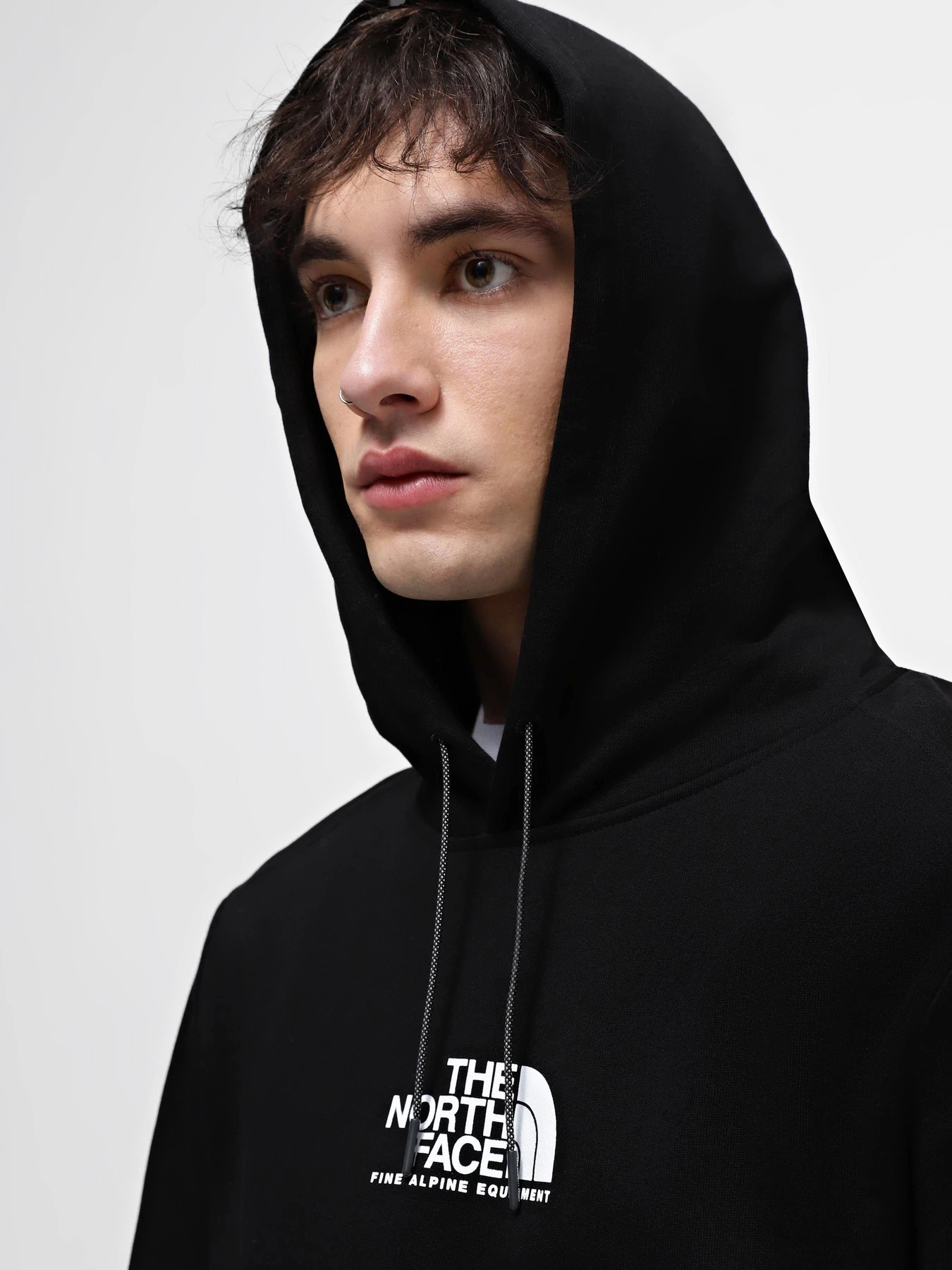 Худи и свитшоты The North Face Fine Alpine модель NF0A8583JK31 Худи и свитшоты The North Face Fine Alpine модель NF0A8583JK31 Фото