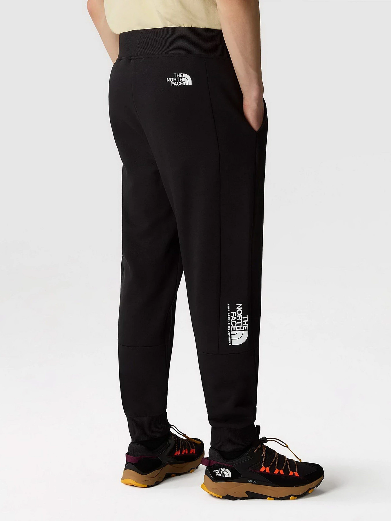 Брюки The North Face Fine Alpine модель NF0A8584JK31 Фото