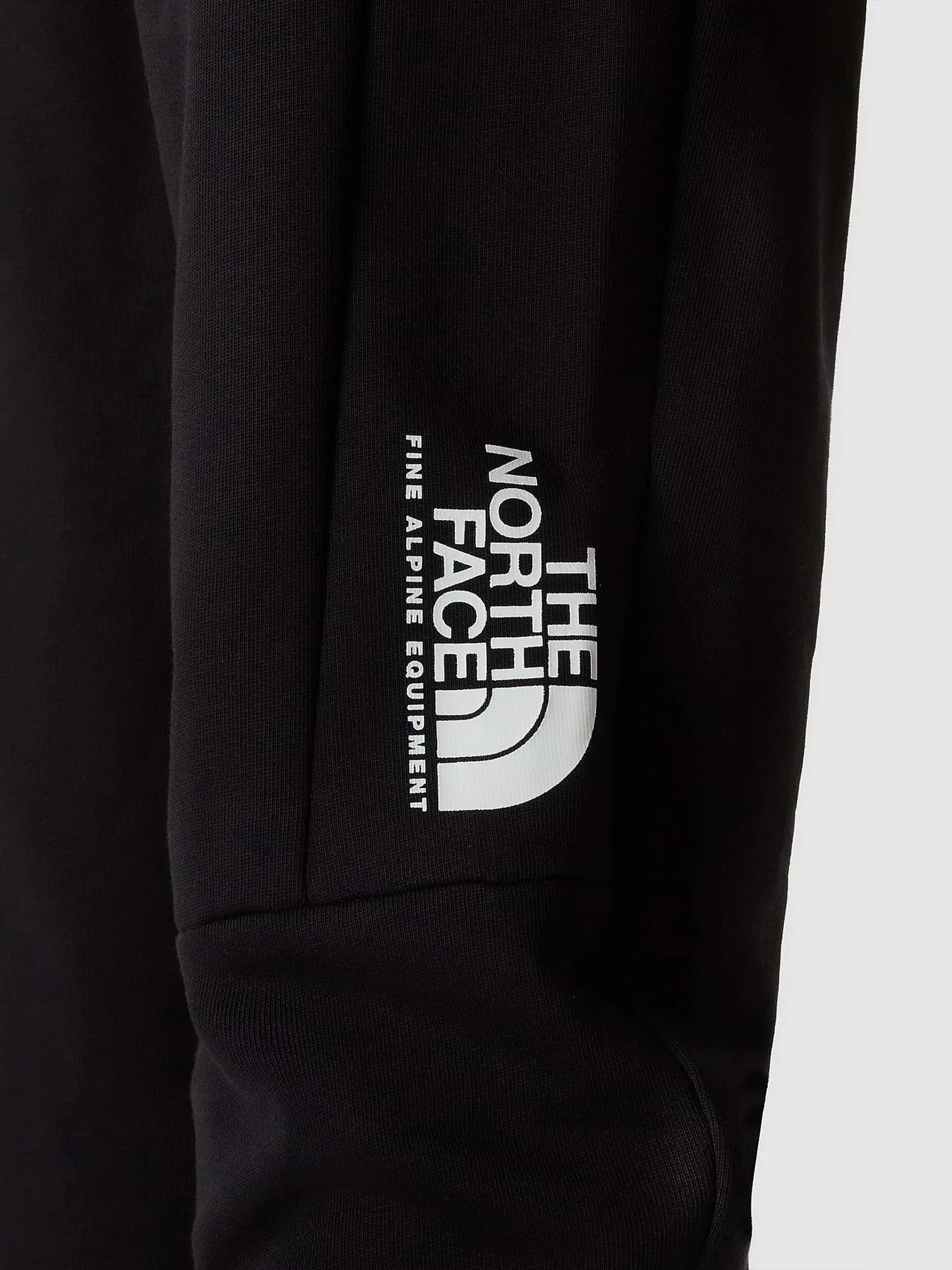 Брюки The North Face Fine Alpine модель NF0A8584JK31 Фото