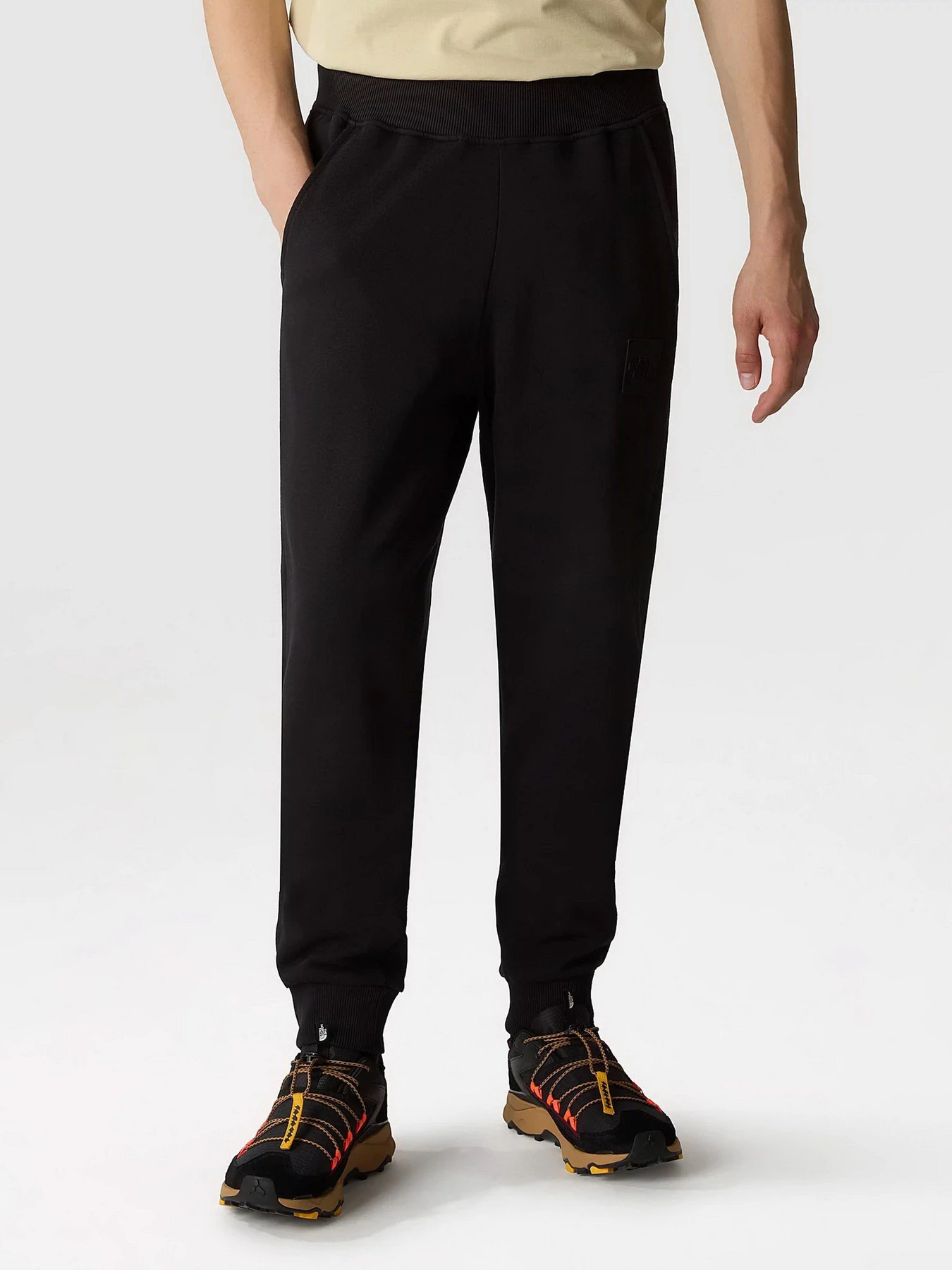 Брюки The North Face Fine Alpine модель NF0A8584JK31 Фото