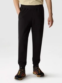 Брюки The North Face Fine Alpine модель NF0A8584JK31 Фото