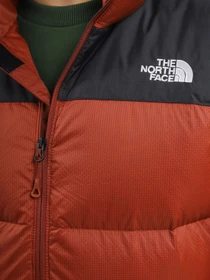 Куртки та дублянки The North Face Diablo Down модель NF0A4M9JWEW1 Фото