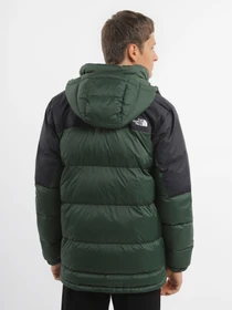 Куртки и дубленки The North Face Diablo модель NF0A4M9LKII1 Фото