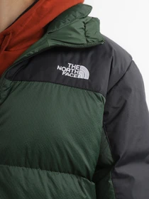 Куртки и дубленки The North Face Diablo модель NF0A4M9LKII1 Фото