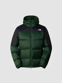 Куртки и дубленки The North Face Diablo модель NF0A4M9LKII1 Фото