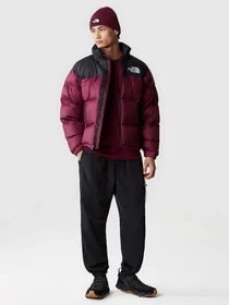 Куртки та дублянки The North Face 1996 Nuptse модель NF0A3C8DKK91 Фото