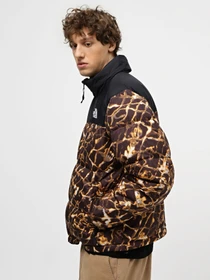 Куртки и дубленки The North Face 1996 Retro Nuptse модель NF0A3C8DOS31 Фото