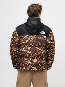 Куртки и дубленки The North Face 1996 Retro Nuptse модель NF0A3C8DOS31 Фото