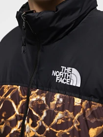 Куртки и дубленки The North Face 1996 Retro Nuptse модель NF0A3C8DOS31 Фото