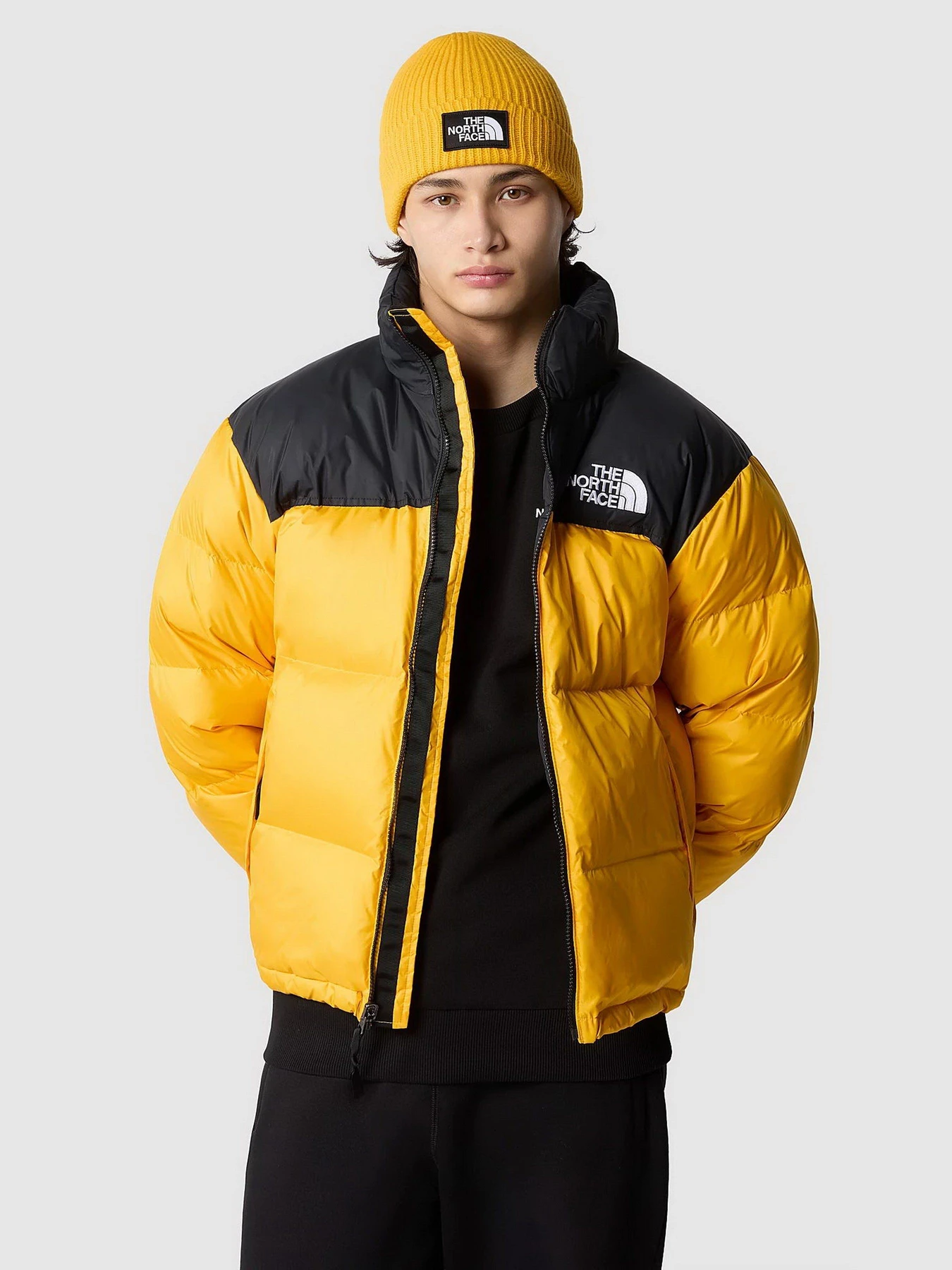 Куртки та дублянки The North Face 1996 Nuptse модель NF0A3C8DZU31 Куртки та дублянки The North Face 1996 Nuptse модель NF0A3C8DZU31 Фото