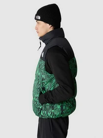 Куртки и дубленки The North Face 1996 RETRO NUPTSE GILET модель NF0A3JQQOSZ1 Фото