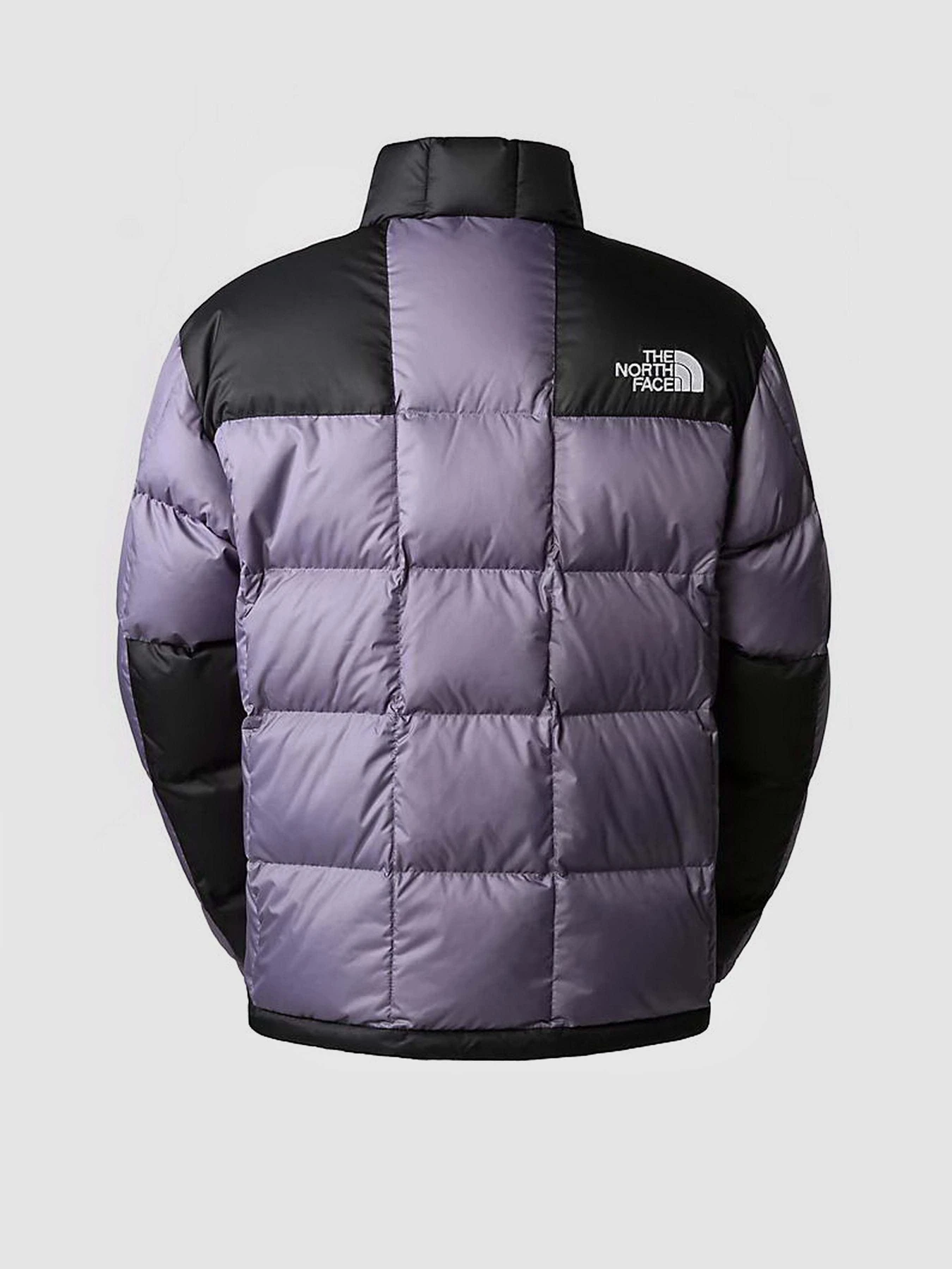 Куртки та дублянки The North Face LHOTSE модель NF0A3Y23N141 Фото