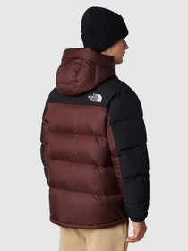 Куртки та дублянки The North Face Himalayan модель NF0A4QYXLOS1 Фото