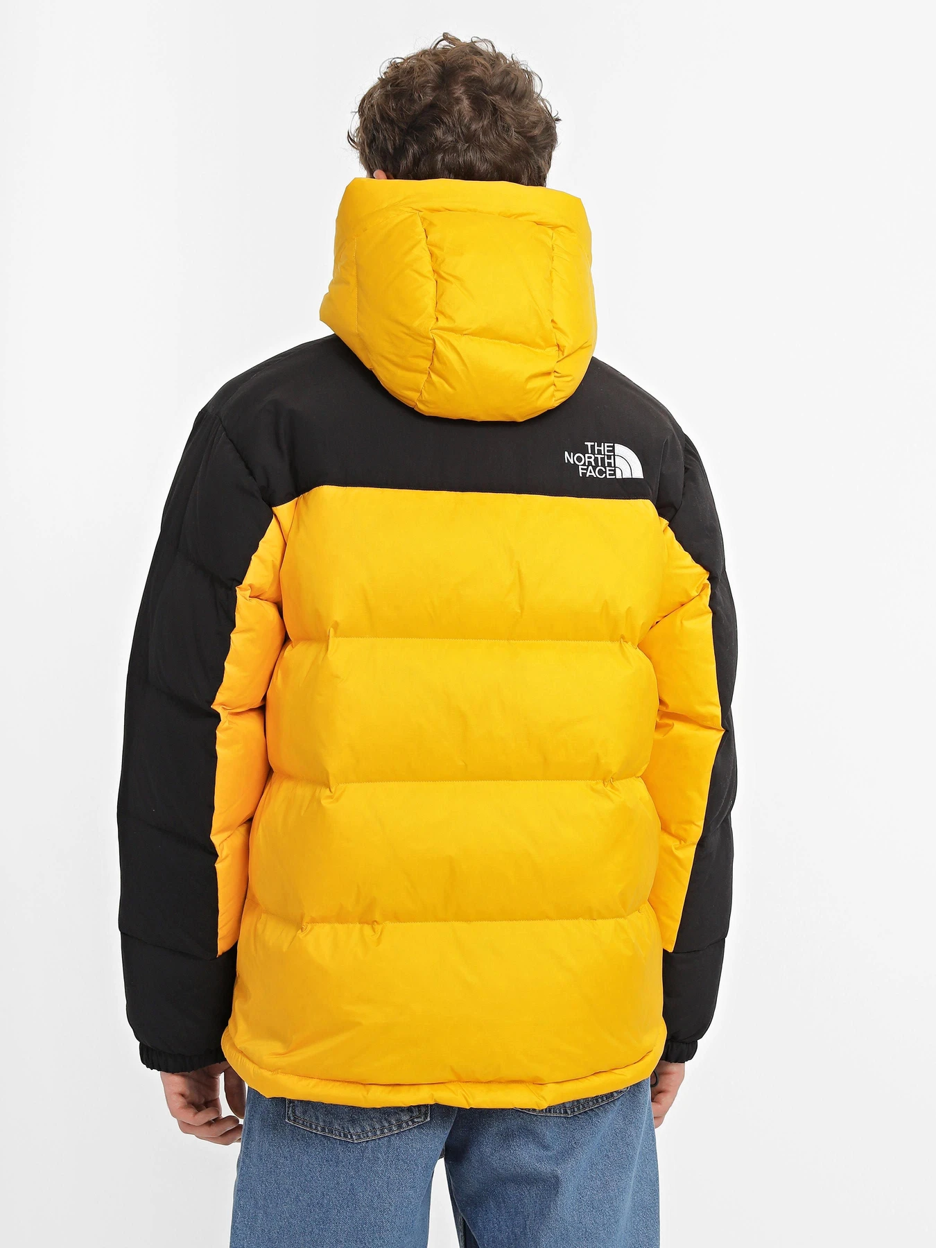 Куртки та дублянки The North Face HIMALAYAN DOWN PARKA модель NF0A4QYXZU31 Фото