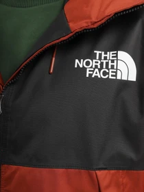 Куртки и дубленки The North Face Mountain модель NF0A5IG2WEW1 Фото