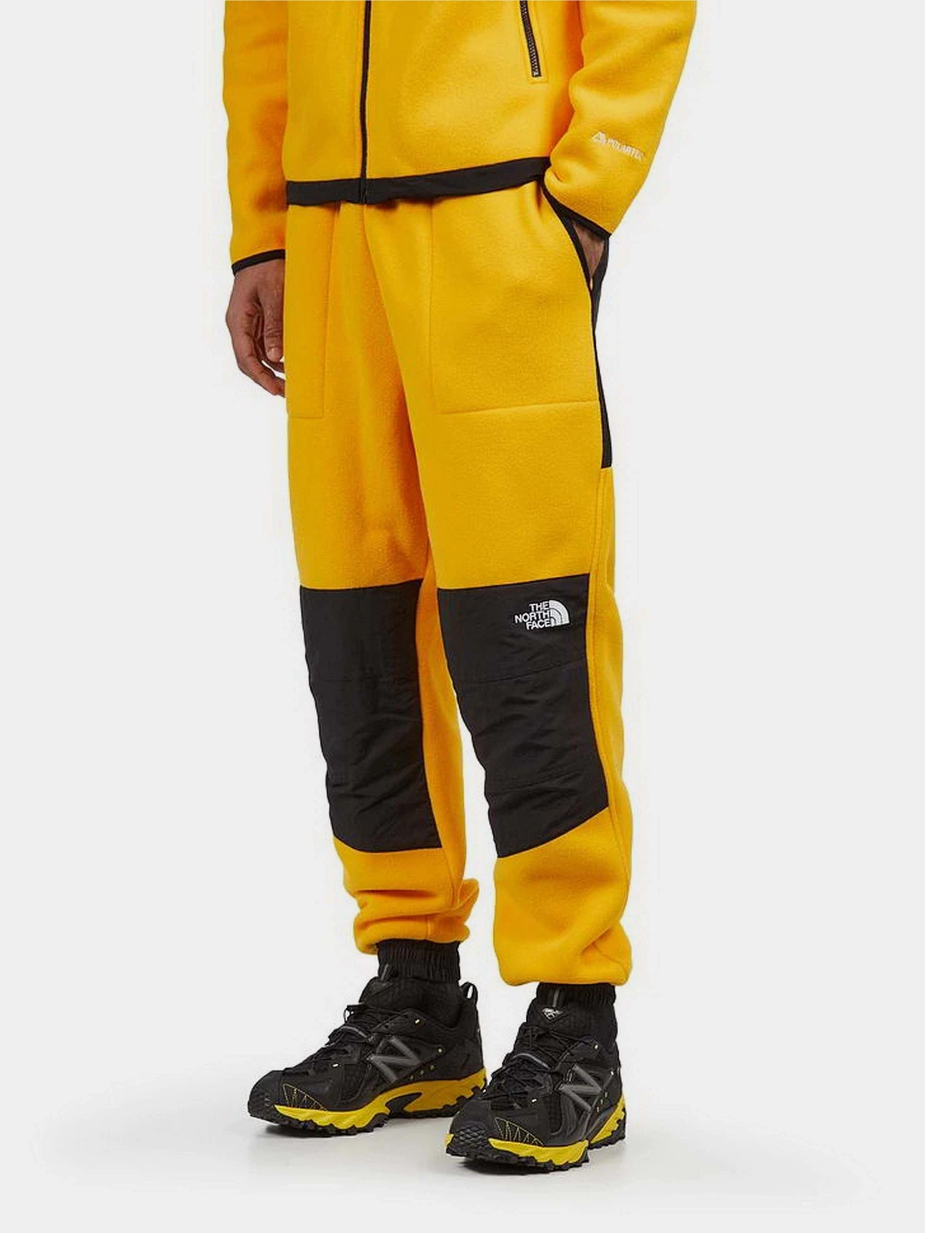 Брюки The North Face модель NF0A7UR556P1 Фото
