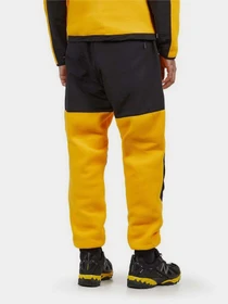 Брюки The North Face модель NF0A7UR556P1 Фото