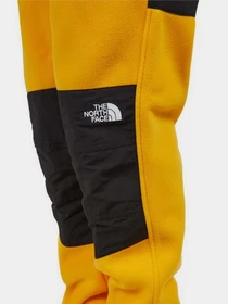 Брюки The North Face модель NF0A7UR556P1 Фото